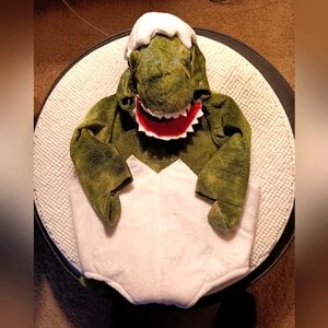 Pottery Barn Kids Green Dinosaur Costume